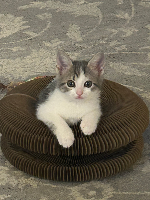 Emma T.